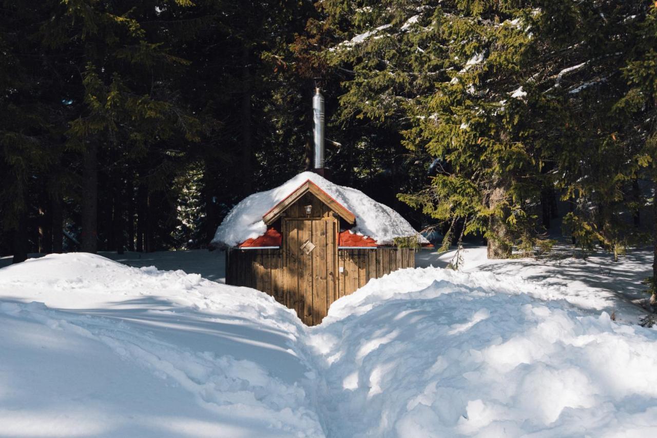 Natura Haziko Izvoare  Exterior foto